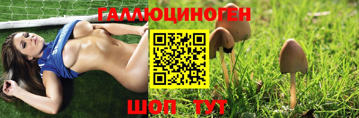 Псилоцибиновые грибы MAGIC MUSHROOMS Кудымкар