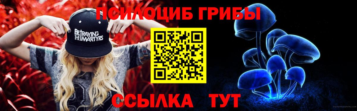 купить закладку  Вход с VPN  Кудымкар  Псилоцибиновые грибы Psilocybine cubensis 